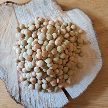 Linzen groen (Laird) : voeding en kiem BIO