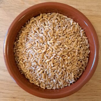 Kamut BIO