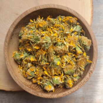 Arnica Montana